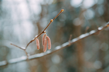 Similar image 21946520