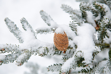 Similar image 21946521