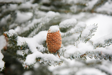 Similar image 21946522