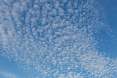 Similar image 21946741