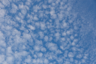 Similar image 21946742