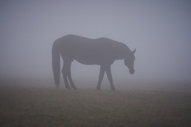 Similar image 21946524