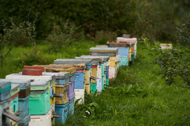 Similar image 21946528