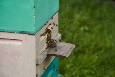 Similar image 21946529