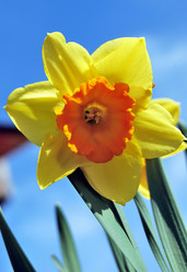 Similar image 21946561