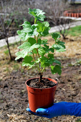 Similar image 21946564