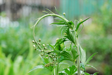 Similar image 21946565