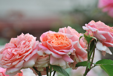 Similar image 21946567