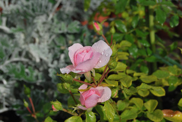 Similar image 21946569