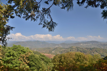 Similar image 21946664