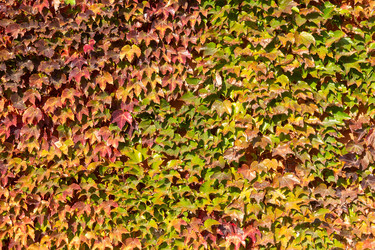 Similar image 21948445