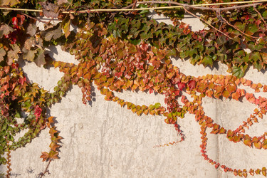 Similar image 21948446