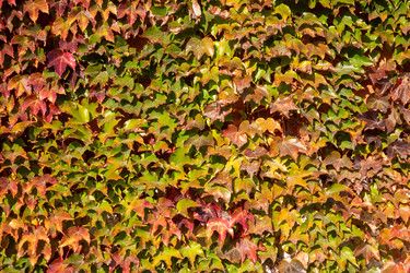 Similar image 21948600