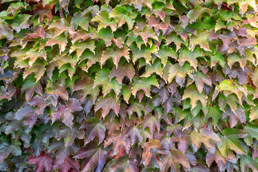 Similar image 21948602