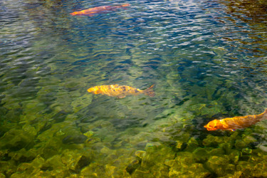 Similar image 21948608