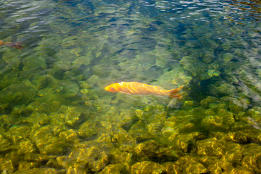 Similar image 21948611