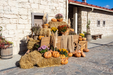 Similar image 21948458