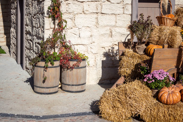 Similar image 21948459