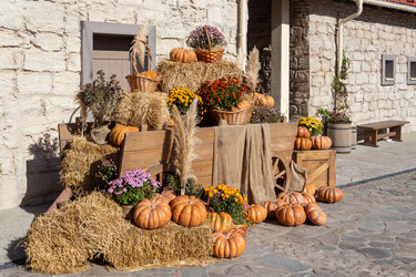 Similar image 21948460