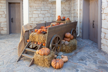 Similar image 21948461