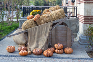 Similar image 21948463