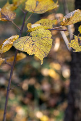 Similar image 21948465