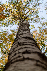 Similar image 21948466