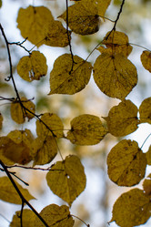 Similar image 21948467