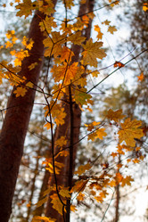 Similar image 21948469