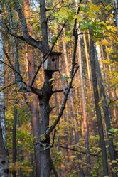 Similar image 21948470