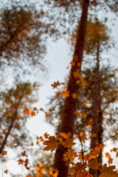 Similar image 21948471