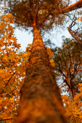 Similar image 21948472