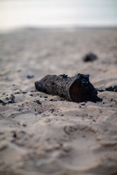 Similar image 21948475