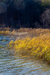 Similar image 21948479