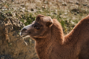 Similar image 21946532