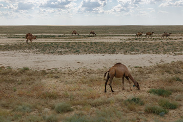 Similar image 21946669