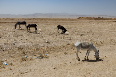 Similar image 21946670