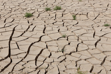 Similar image 21946673