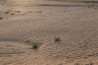 Similar image 21946677