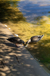 Similar image 21948482