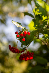 Similar image 21948483