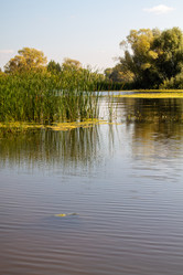 Similar image 21948485