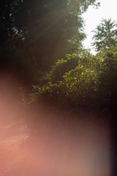 Similar image 21948486