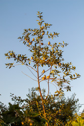 Similar image 21948487