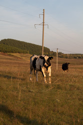 Similar image 21948491