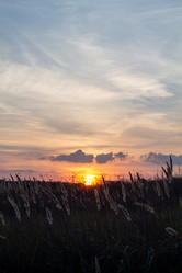 Similar image 21948493