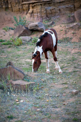 Similar image 21946534