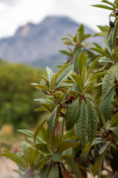 Similar image 21946535