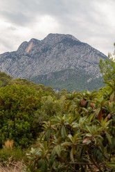 Similar image 21946536