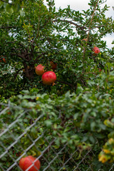 Similar image 21946537